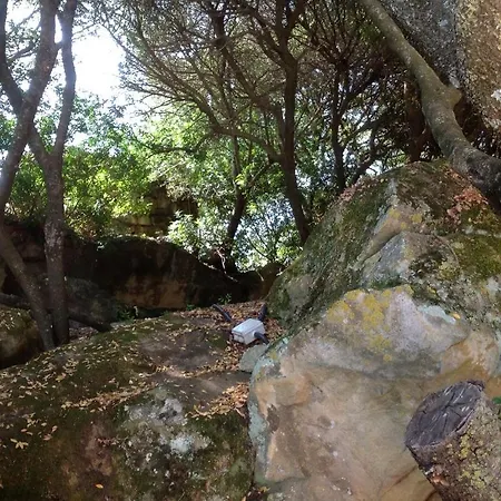 Κατάλυμα σε φάρμα Il Paradiso