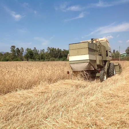 Il Paradiso Фермерский дом