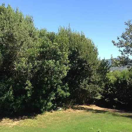 Il Paradiso Iglesias