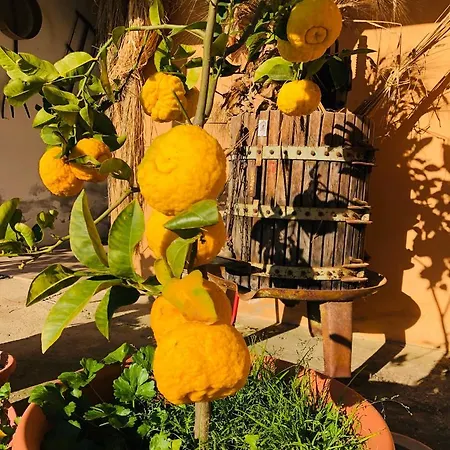 Il Paradiso Bauernhof