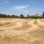 Il Paradiso Bauernhof Iglesias