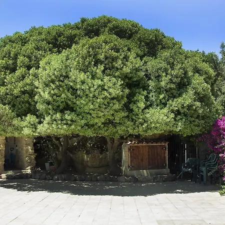 Il Paradiso *