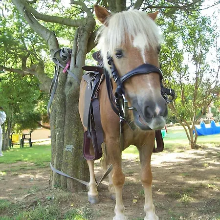 农家乐 帕拉迪索二世农庄 伊格莱西亚斯