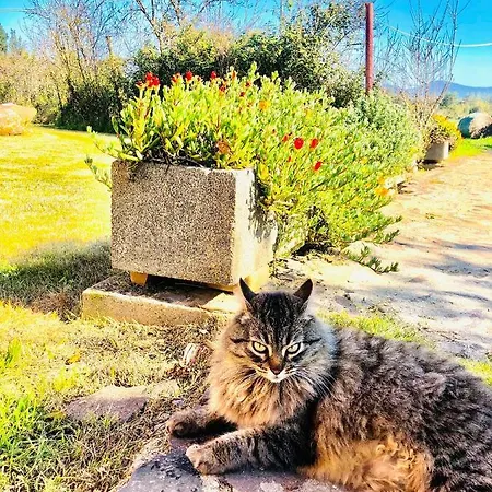 Il Paradiso Gospodarstwo agroturystyczne *