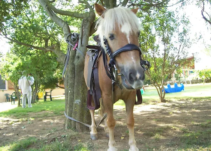 Farmház Il Paradiso Iglesias